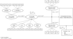 How Entrepreneurial Smes Compete Through Digital Platforms The Roles Of Digital Platform Capability Network Capability And Ambidexterity Sciencedirect