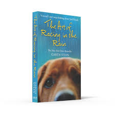 I savored garth stein's the art of racing in the rain for many reasons: Art Of Racing In The Rain A Novel Amazon Co Uk Stein Garth Books