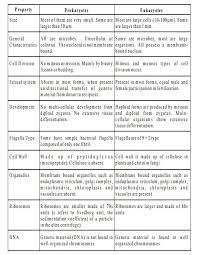 Prokaryotes are organisms that consist of a single prokaryotic cell. Different Between Prokaryotic And Eukaryotic Cell Plant Cells