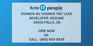 cognos bi/cognos tm1 lead developer