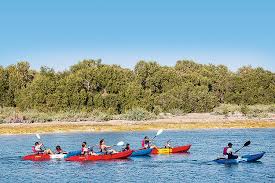 Aed300.00 eastern mangrove national park … Kayak In The Eastern Mangroves Things To Do Time Out Dubai