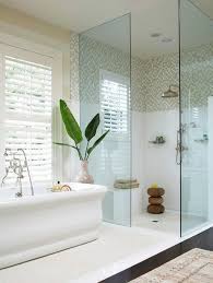 We did not find results for: Should I Use Glass Or Recessed Curtain Track For This Shower
