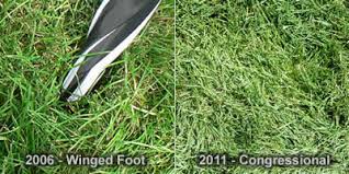 コラム 金融コンフィデンシャル 底流 金融最前線 日銀ウオッチ 金融plus 経済教室 やさしい経済学 霞が関エックス線 angle（経済）. å…¨ç±³ã‚ªãƒ¼ãƒ—ãƒ³ U S Open ã®ãŠè©±ã— ã‚¹ãƒžãƒ›ç‰ˆ