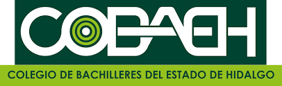 Página Principal