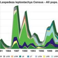 Image result for Buchnera leptostachya