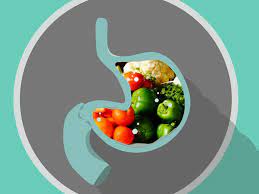 I joined about 5 years ago. Time To Digest Foods And Why It S Important Nest And Glow