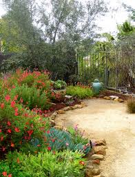 Salvia Greggii Scarlet Flowers Attract Hummingbirds Spring Summer And Fall Mediterranean Garden Design Mediterranean Landscaping Traditional Landscape