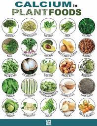 On en parle énormément depuis notre enfance jusque dans les médias! 25 Aliments Vegetaux Riches En Calcium Qui Ne Proviennent Pas Des Produits Laitiers Detox Recette Facile Et Saines Vegan Nutrition Foods With Calcium Nutrition