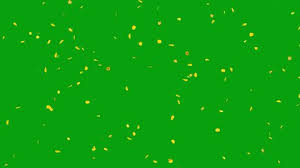 Leaves tree drawing falling leaves transparent animation green leaves screensaver leaves falling green screen autumn leaves green screen business leaving eu effect on nhs eucalyptus leaves effect on koalas leaves extract effect leaves fall effect leaves rustling sound effect free leaves. Autumn Leaves Falling Transparent Background Stock Video Footage 4k And Hd Video Clips Shutterstock