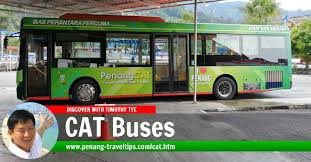 Learn how to create your own. Penang Cat Free Feeder Bus