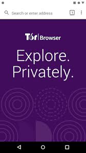 Epic browser is one of the best tor alternatives you can use today. Tor Browser Alpha App For Windows 10 8 7 Latest Version