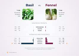 Nutrition Comparison Basil Vs Fennel