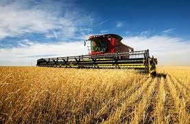 Also included is the area immediately south of the wheat plantation. Cereal Farming Overview Facts Britannica