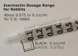 Ivermectin Dosage For Rabbits Pet Rabbit House Rabbit Rabbit