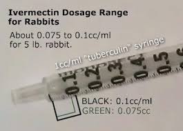 ivermectin dosage for rabbits pet rabbit house rabbit rabbit