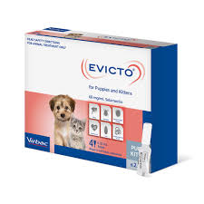 Cute kitten and puppies on the grass,puppies happy time. Evicto For Puppies And Kittens Up To 2 5kg Blue Dr Carl
