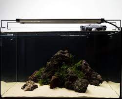 Maybe you would like to learn more about one of these? Low Budget Aquascaping Aquascaping Wiki Aquasabi