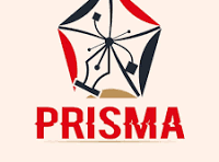 Prisma Diseños
