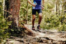 3:55 kikerikidu67 recommended for you. Trail Du Vieil Armand Sporkrono