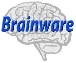 Brainware juga dapat diartikan sebagai perangkat intelektual yang mengoperasikan dan mengeksplorasi kemampuan dari hardware komputer maupun software. The Software Economist Blog Brainware Plugins Or Brainware As A Service