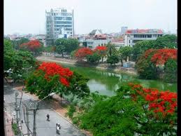 Một giáo viên địa phương đã kêu gọi giải cứu bằng cách bán giúp anh sĩ hoa súp lơ để tặng phụ nữ nhân ngày 8/3. Du Lá»‹ch Háº£i Phong Thanh Phá»' Hoa PhÆ°á»£ng Ä'á» Youtube