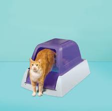 7 Best Self Cleaning Litter Boxes Of 2021 Automatic Litter Box For Cats