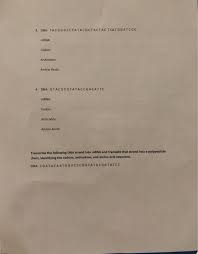 ← renaming fractions worksheets adding subtracting multiplying and dividing integers worksheets →. Solved Transcription And Translation Practice Worksheet E Chegg Com