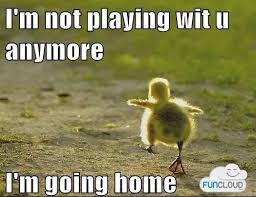 30 Most Funniest Bird Meme Images And Photos