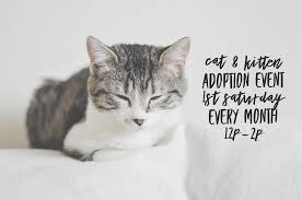Families who provide permanent homes for children through adoption and kinship arrangements can get support through the department of human services. No Kitten Left Behind Adoption Event Urban Tails Pet Supply