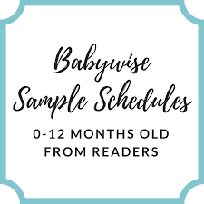 Babywise Sample Schedules: Over 100 Schedules for Baby's First Year