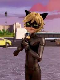 Pin En Chat Noir Adrien