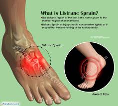 Pin On Navicular
