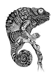 Check spelling or type a new query. Cameleon Chameleons Lizards Adult Coloring Pages