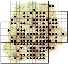 Image result for Searsia leptodictya