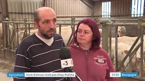 Un choix par défaut, car le candidat rigolo de l'amour est antonio expédié dans le train du retour, céline présente officiellement son amoureux laurent à ses parents. Nievre Un An Apres L Amour Est Dans Le Pre Ils Creent Une Cagnotte Pour Sauver Leur Ferme Youtube