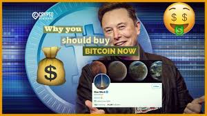 Right now, i can use my bitcoin holdings to pay for purchases at overstock , or book a hotel on expedia. Why You Should Buy Bitcoin Now L Billionaires Buying Bitcoins L Tamil Youtube