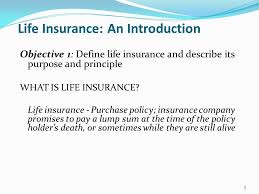 Life insurance is a plan for the unexpected — it offers financial protection to your loved ones if you die suddenly by replacing your income. Chapter 12 Life Insurance Ppt Video Online Download