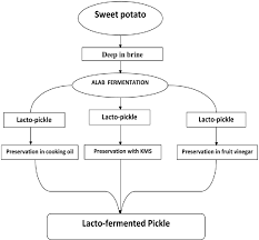 Flow Chart For Preparation Sweet Potato Lacto Pickle Alab