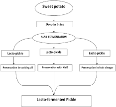 flow chart for preparation sweet potato lacto pickle alab