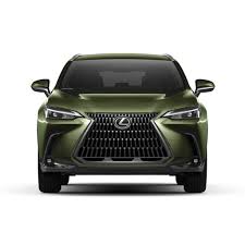 Image result for Nori Green 2019 UX