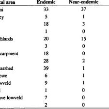 Image result for Selago anatrichota × goetzei