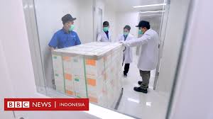 Produk ini dikemas dalam vial, di mana satu vial berisi satu dosis. Vaksin Covid 19 Sinovac Mengapa Indonesia Memilihnya Dan Sejauh Mana Kesiapan Menggelar Vaksinasi Bbc News Indonesia