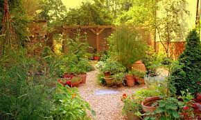 How to start a garden. 20 Best Crops For A Survival Garden Epic Gardening