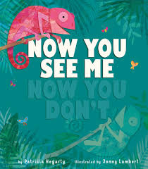 Daah, i now it u cant see me! Now You See Me Now You Don T By Patricia Hegarty 9781680102109 Penguinrandomhouse Com Books