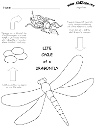 The article features both realistic and cartoon forms of dragons like flying dragons, dragons with knights and fire breathing dragons. Dragonfly Life Cycle Worksheet Dragonfly Life Cycle Life Cycles Science Life Cycles
