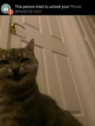 Intruder selfie™ allows you to easily see who has tried to unlock your device without your authorization. Larli Aka Mr Tiddlesworth Home Facebook