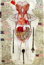The Sick Rose Disease And The Art Of Medical Illustration Pdf Anatomy Circa 1425 Medical Illustration Book Art Anatomy Art