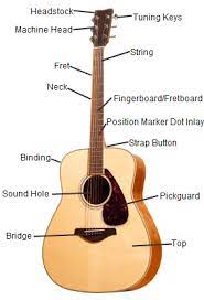 60 essential guitar chords that can make you sound amazing. Diagram Of An Acoustic Guitar Lovetoknow