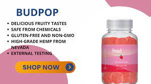 cbd gummies in nu