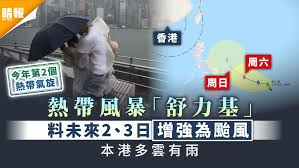 鄭明典po出一張，熱帶氣旋(颱風)路徑圖，有可能往南海走為南部帶來降雨，也有可能北上往日本東方海面。 若成颱將是今年第二號颱風「舒力基」（surigae）。 美國模式則預測，熱帶擾動明顯偏強而且偏遠洋。 (翻攝自 吳聖宇fb). 7vvdeq1ft9q12m